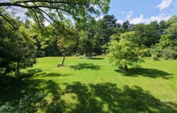 49 Queen St, Whitehall, NY 12887