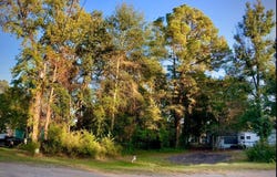 262 E Walnut Trail, Murchison, TX 75778