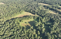 69935 Highway 22E, Roanoke, AL 36274
