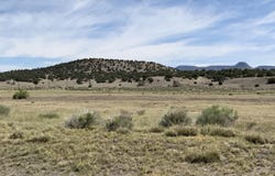 No Situs Address, Datil, NM 87821