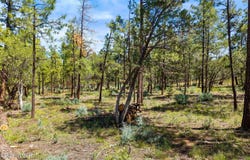 040C VALLERY Lane, Lakeside, AZ 85929