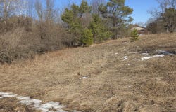 KNOKE Street, GRESHAM, WI 54128