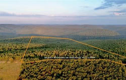 3975 NC 9560, Pettigrew, AR 72752