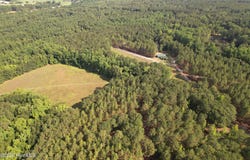 Bethesda Church Road, Fairmont, NC 28340