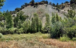 769 & 784 Bareback Lane, Durango, CO 81303