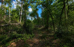 6600 150th Place, Wellborn, FL 32094