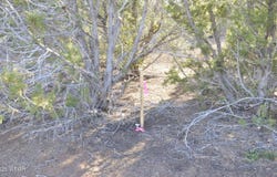 11D Lodge Pole Rd, Show Low, AZ 85901