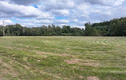 11395 E Millbrook Rd, Shepherd, MI 48883