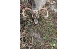 160 Highway N, Stover, MO 65078