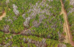 Highway 79 S lot: 48, Pine Bluff, AR 71603