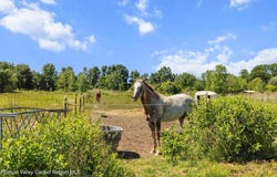 75 Eastern Parkway, Germantown, NY 12526