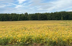 Vining Road, Lakeview, MI 48850