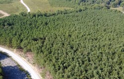 Topside Road lot: 98, Dunlap, TN 37327