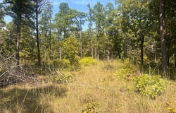 Tract 14 River RD, Whitesboro, OK 74577