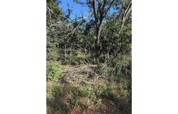 152 Helemano Dr, Bastrop, TX 78602