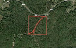 Valley View Trail, Williford, AR 72482