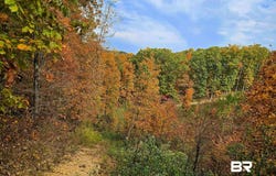 County Road 79, Waterloo, AL 36577