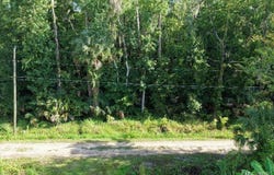 GOBBLER Road, Astor, FL 32102