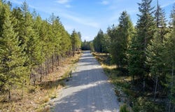Sawbuck Rd lot: 3, Spirit Lake, ID 83869