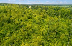Parcel 9 M-32, Hillman, MI 49746