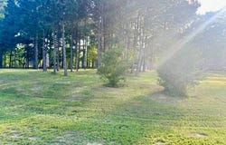Daisy Lane, Andalusia, AL 36420