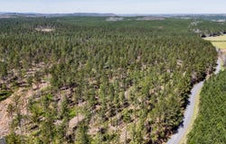 28 ACRES Youngs Farm Road, Cedartown, GA 30125