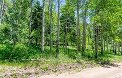Westcliffe Dr, Rye, CO 81069