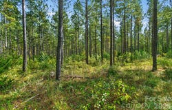 Garvin Road, York, SC 29726