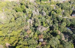 Briarwood, Lake Dallas, TX 75065