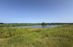 River Drift lot: 8, Heber Springs, AR 72543