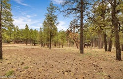 7804 E Long Bow Drive, Williams, AZ 86046