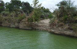 220 PRIVATE ROAD 2355, Uvalde, TX 78801