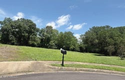 373 Red Eagle Circle, Ridgeland, MS 39157
