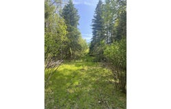 FOREST HILL Drive, TOWNSEND, WI 54175