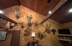 4717 S Frontage Road, Columbus, MS 39701