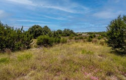 250 Deer Run, Mountain Home, TX 78058
