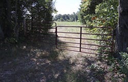 County Rd 132, Norwood, MO 65717