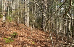 Gospel Drive, Sylva, NC 28779