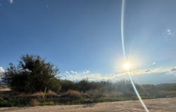 Pima, AZ 85543
