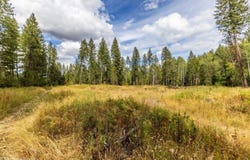 N Vista Cir, Colbert, WA 99005