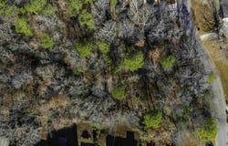 1024 TIMBERLINE TRAIL lot: 12, BIRMINGHAM, AL 35215