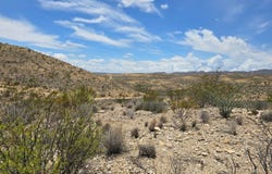 10 Raven Rd, Terlingua, TX 79852