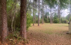 SE 19TH PL, SILVER SPRINGS, FL 34488