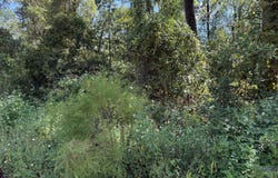 Anderson Drive, Alford, FL 32420