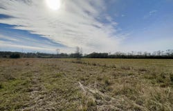7474 Lemon Rd, Slaughter, LA 70777