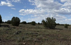59se Rocky Rabbit Road, Ash Fork, AZ 86320