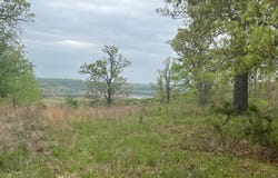 State Highway D, Thornfield, MO 65762