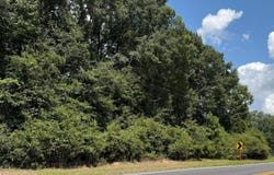 US-431, Lafayette, AL 36862