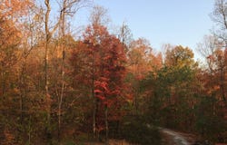 Sheep Bluff Rd, Cookeville, TN 38506