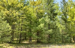 10431 Breezy R.22 Lane, Rapid River, MI 49878